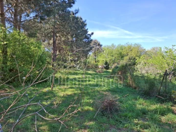 Terreno para Venda em Seixas