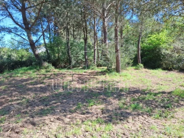 Terreno para Venda em Seixas