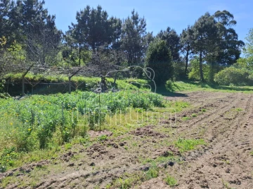Terreno para Venda em Seixas