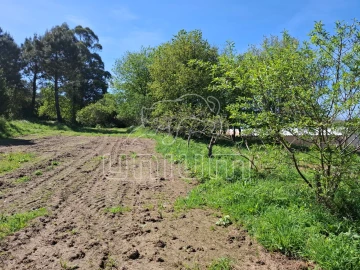 Terreno para Venda em Seixas