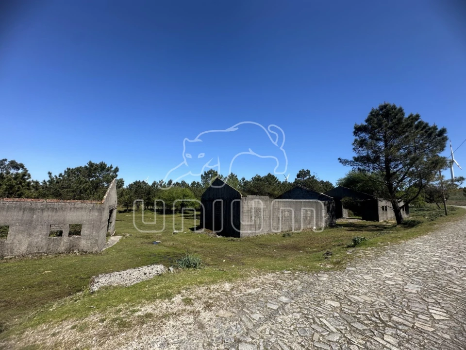Terreno para Venda em Carreço Foto 1