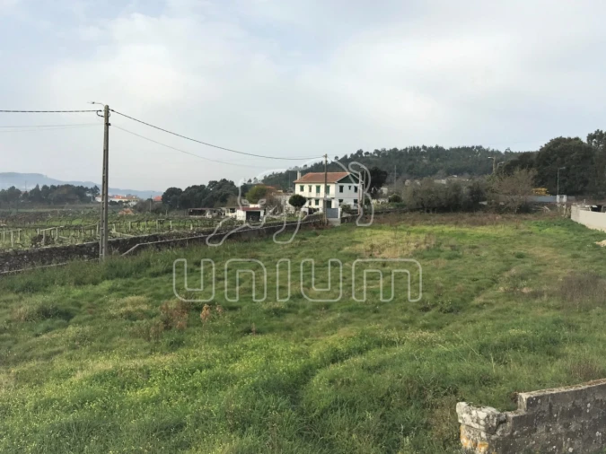 Terreno para Venda em Riba de Ancora