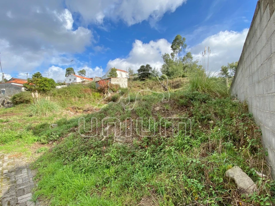 Terreno para Venda em Vila de Punhe Foto 3