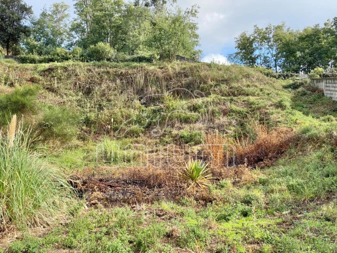 Terreno para Venda em Vila de Punhe Foto 4
