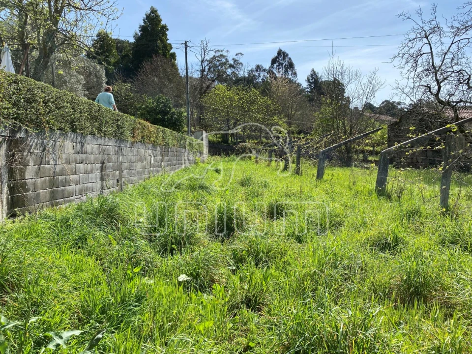 Terreno para Venda em Santa Maria Maior e Monserrate e Meadela Foto 1
