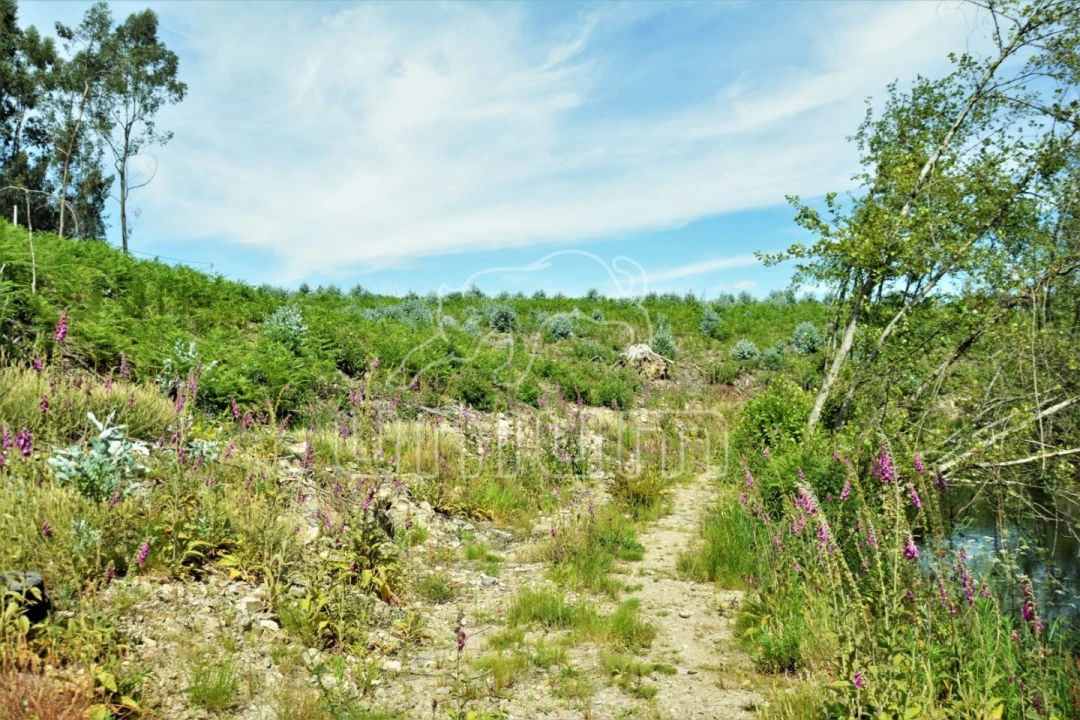 Terreno para Venda em Anais Foto 8