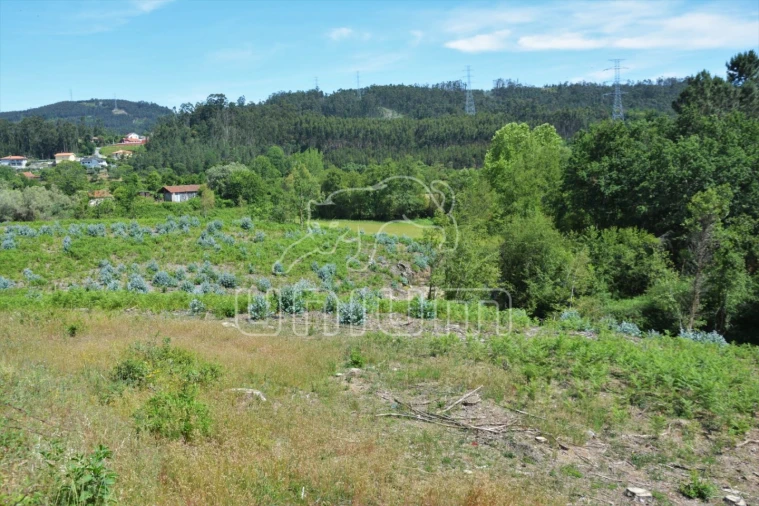 Terreno para Venda em Anais Foto 6