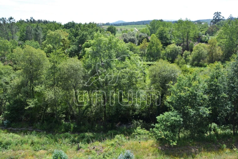 Terreno para Venda em Anais Foto 7