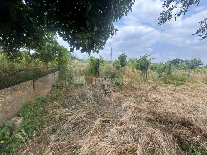 Terreno para Venda em São Pedro de Tomar Foto 9