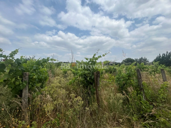 Terreno para Venda em São Pedro de Tomar Foto 10