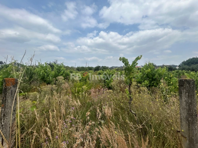 Terreno para Venda em São Pedro de Tomar Foto 13