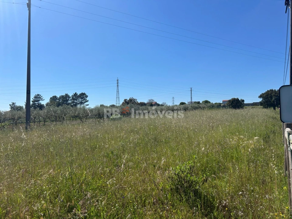 Terreno para Venda em Casais e Alviobeira Foto 1