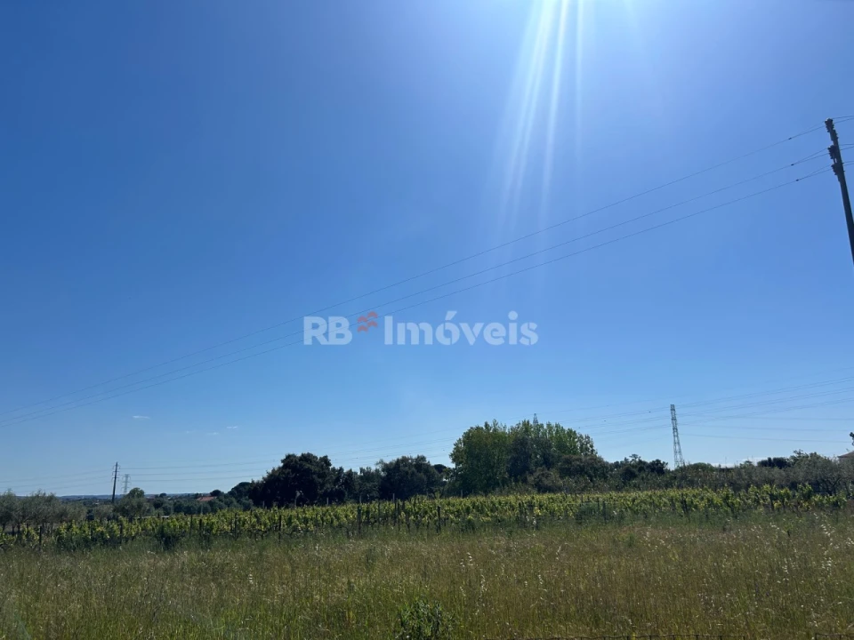 Terreno para Venda em Casais e Alviobeira Foto 3