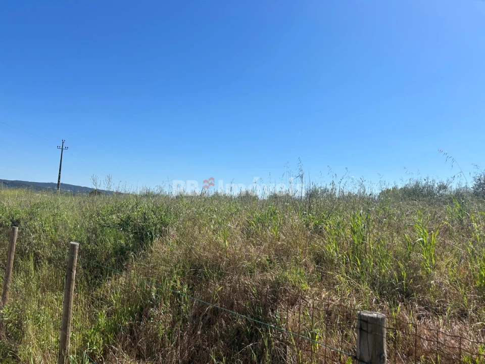 Terreno para Venda em Casais e Alviobeira Foto 7