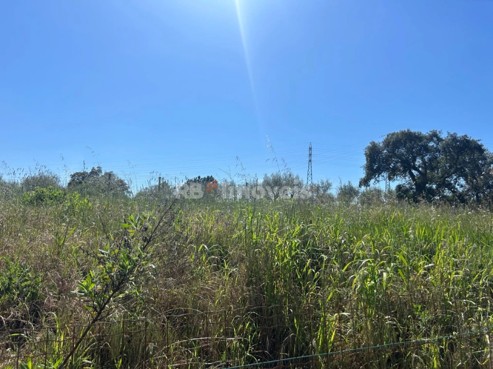 Terreno para Venda em Casais e Alviobeira Foto 12