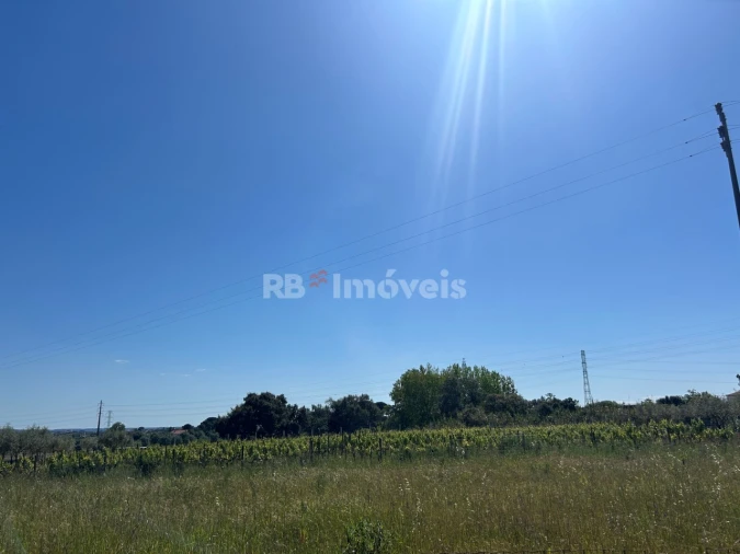 Terreno para Venda em Casais e Alviobeira Foto 3