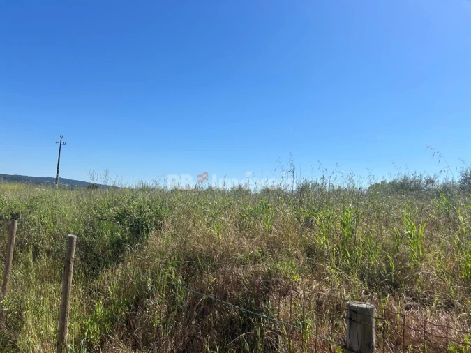Terreno para Venda em Casais e Alviobeira Foto 7