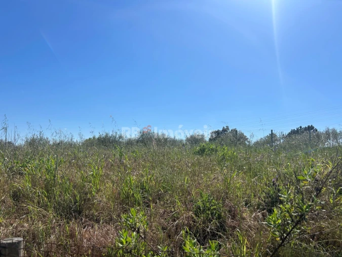 Terreno para Venda em Casais e Alviobeira Foto 9