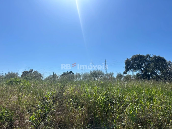 Terreno para Venda em Casais e Alviobeira Foto 10