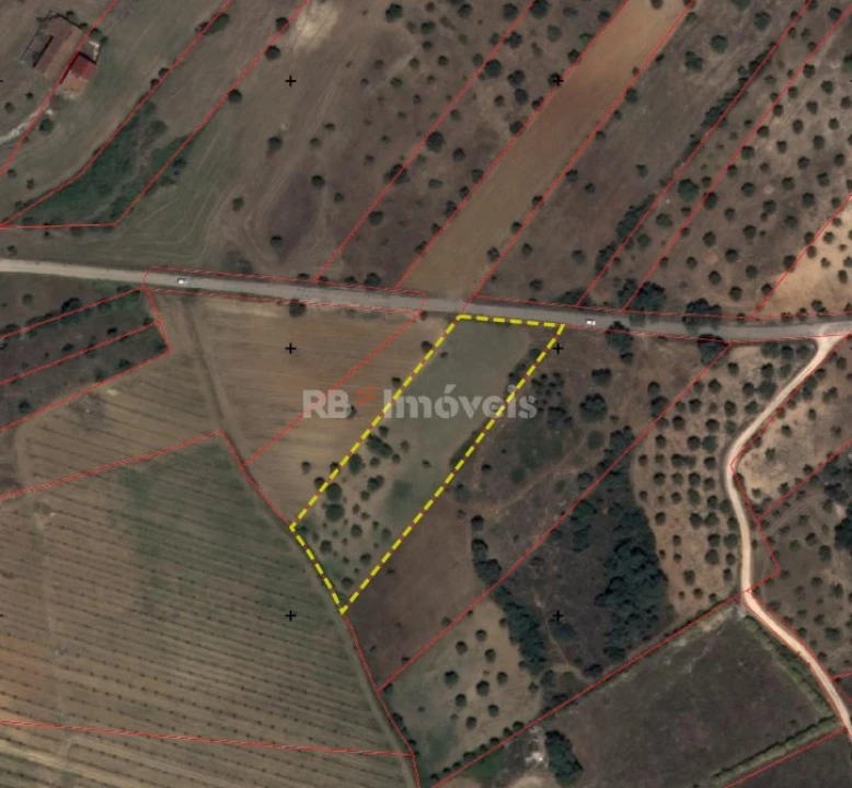 Terreno para Venda em Olaia e Paço Foto 7