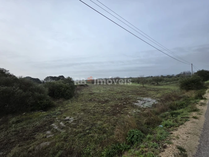 Terreno para Venda em Olaia e Paço Foto 2