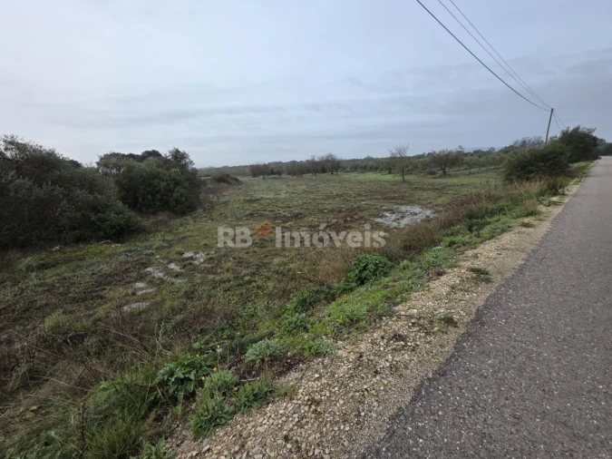 Terreno para Venda em Olaia e Paço Foto 1