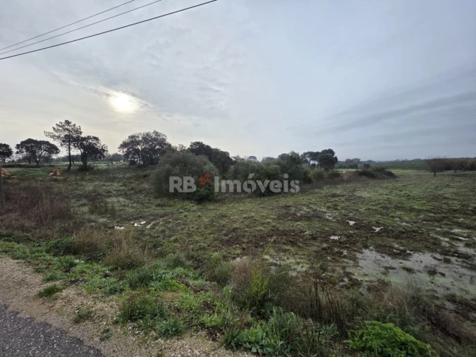 Terreno para Venda em Olaia e Paço Foto 4