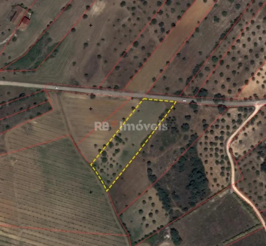 Terreno para Venda em Olaia e Paço Foto 7