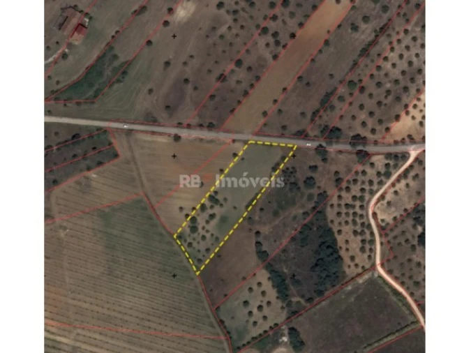 Terreno para Venda em Olaia e Paço Planta 1