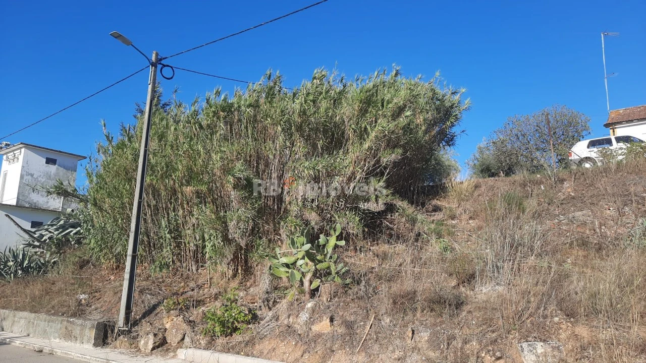 Terreno para Venda em São João Baptista e Santa Maria dos Olivais Foto 3