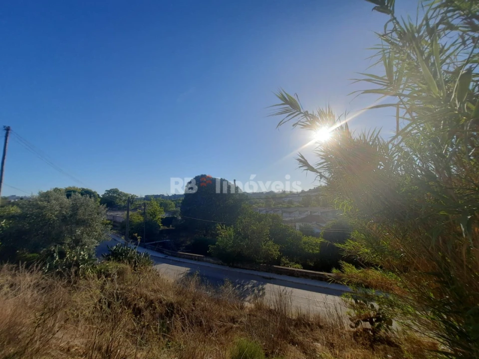 Terreno para Venda em São João Baptista e Santa Maria dos Olivais Foto 12