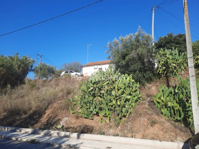 Terreno para Venda em São João Baptista e Santa Maria dos Olivais Foto 10