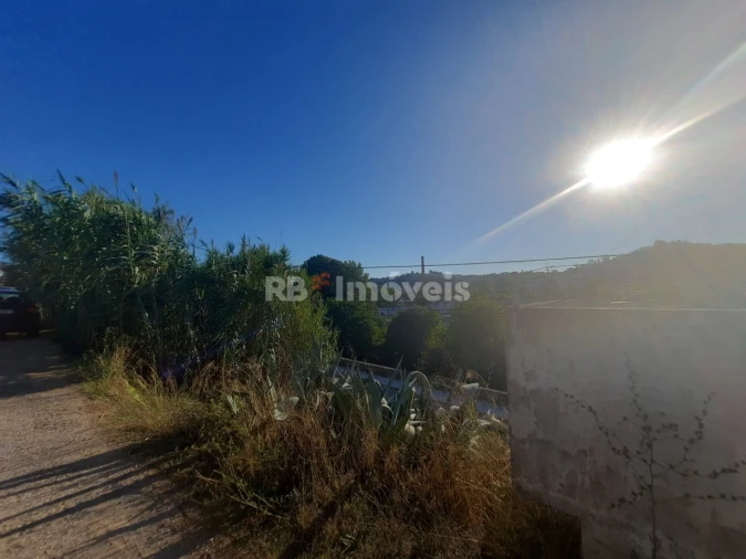 Terreno para Venda em São João Baptista e Santa Maria dos Olivais Foto 8