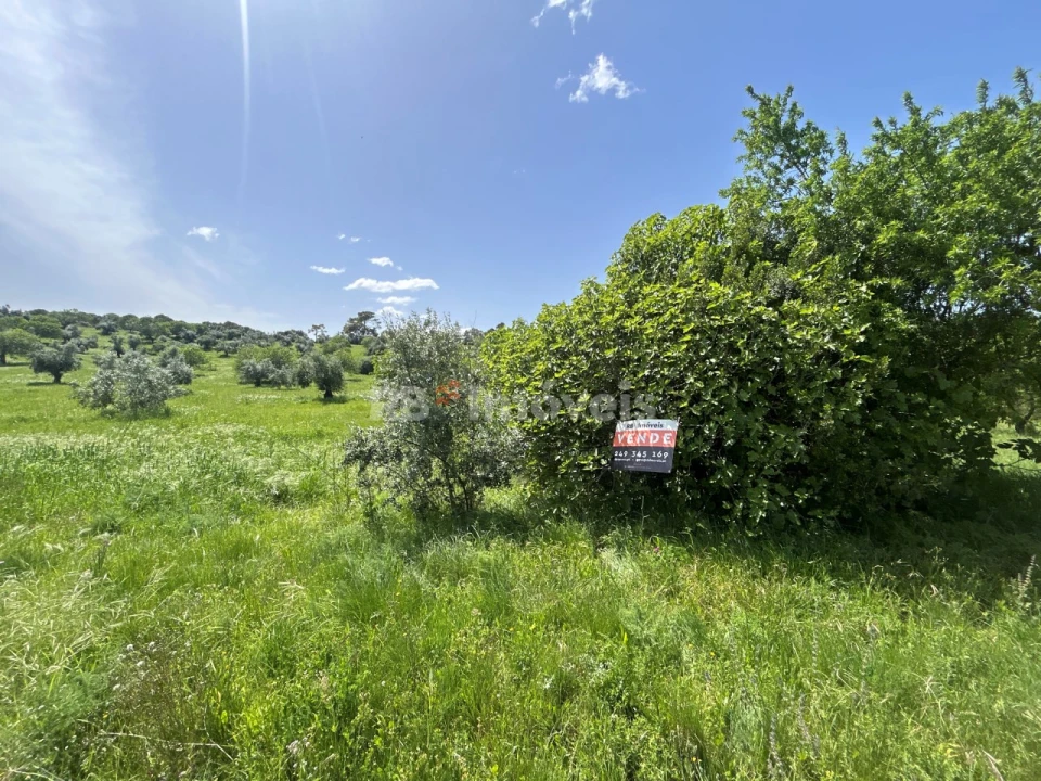 Terreno para Venda em Olaia e Paço Foto 20