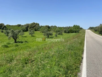 Terreno para Venda em Olaia e Paço