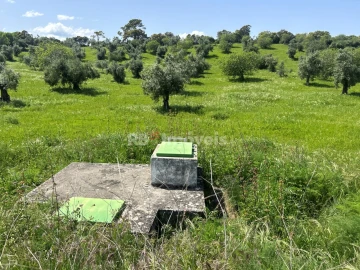 Terreno para Venda em Olaia e Paço