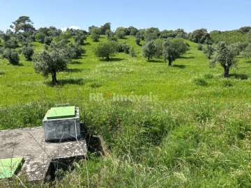 Terreno para Venda em Olaia e Paço