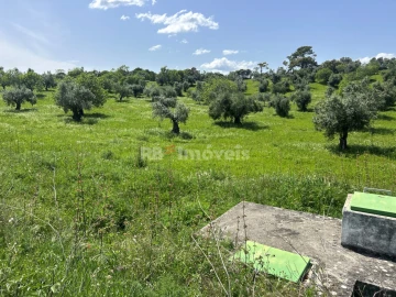 Terreno para Venda em Olaia e Paço