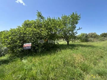 Terreno para Venda em Olaia e Paço