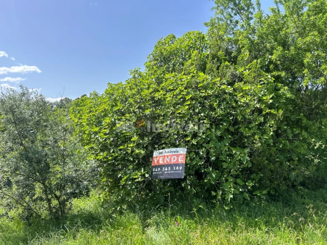 Terreno para Venda em Olaia e Paço Foto 18