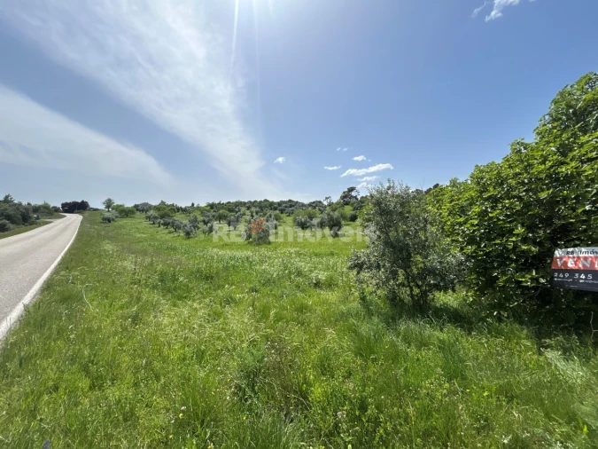 Terreno para Venda em Olaia e Paço Foto 19