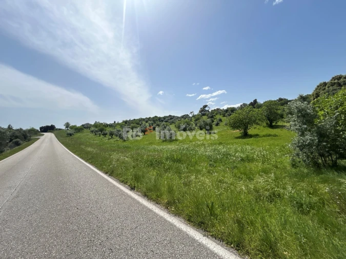 Terreno para Venda em Olaia e Paço Foto 22