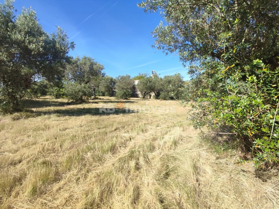 Terreno para Venda em Casais e Alviobeira Foto 1