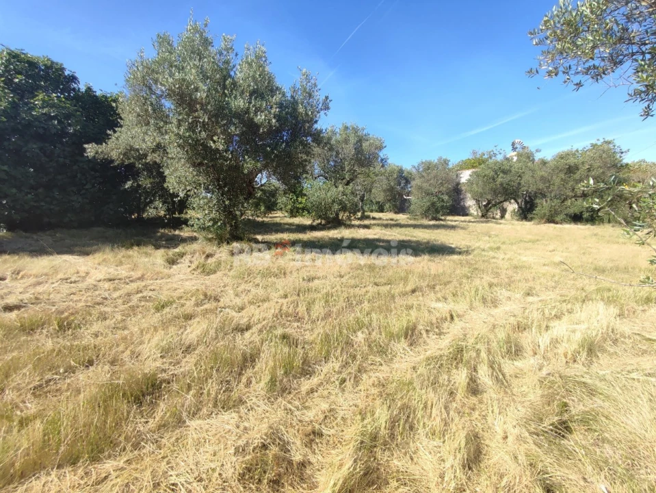 Terreno para Venda em Casais e Alviobeira Foto 11