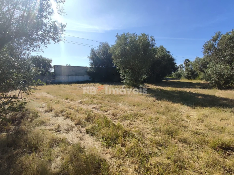 Terreno para Venda em Casais e Alviobeira Foto 12