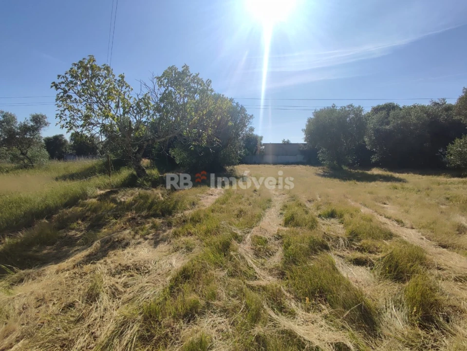 Terreno para Venda em Casais e Alviobeira Foto 16