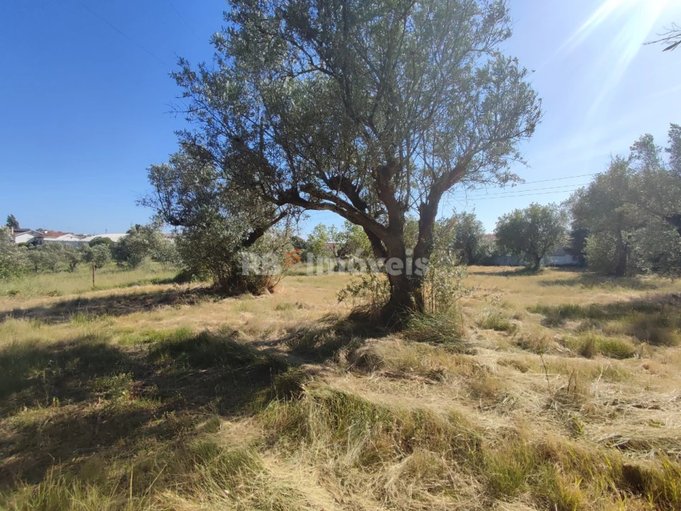 Terreno para Venda em Casais e Alviobeira Foto 21