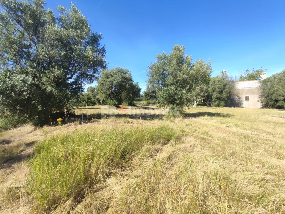 Terreno para Venda em Casais e Alviobeira Foto 24