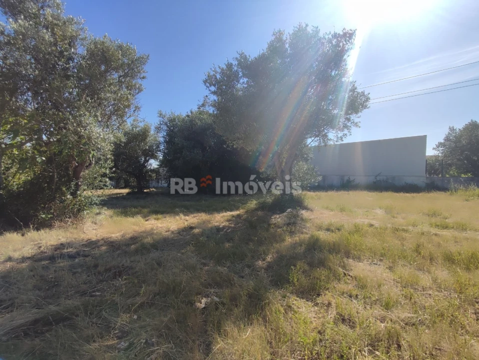 Terreno para Venda em Casais e Alviobeira Foto 26