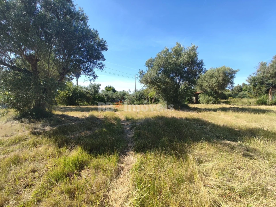 Terreno para Venda em Casais e Alviobeira Foto 29